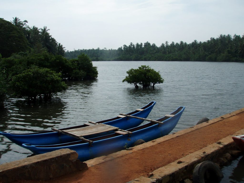 Koggala lake boat safari