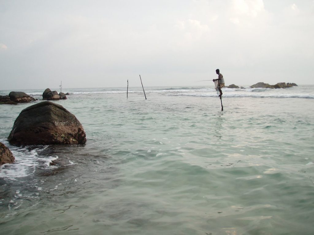 Stilt Fishermen in Koggala